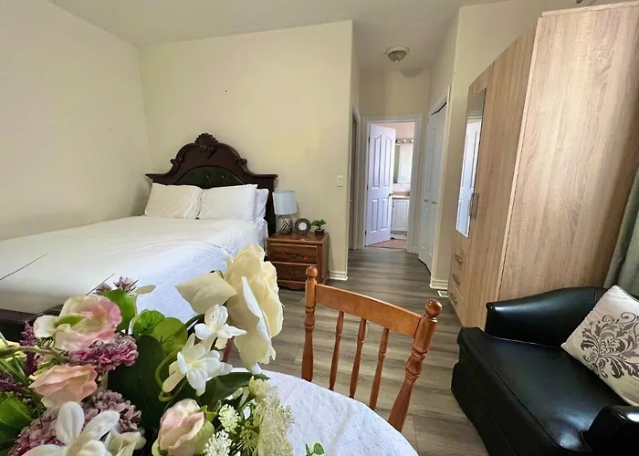 Main Suite