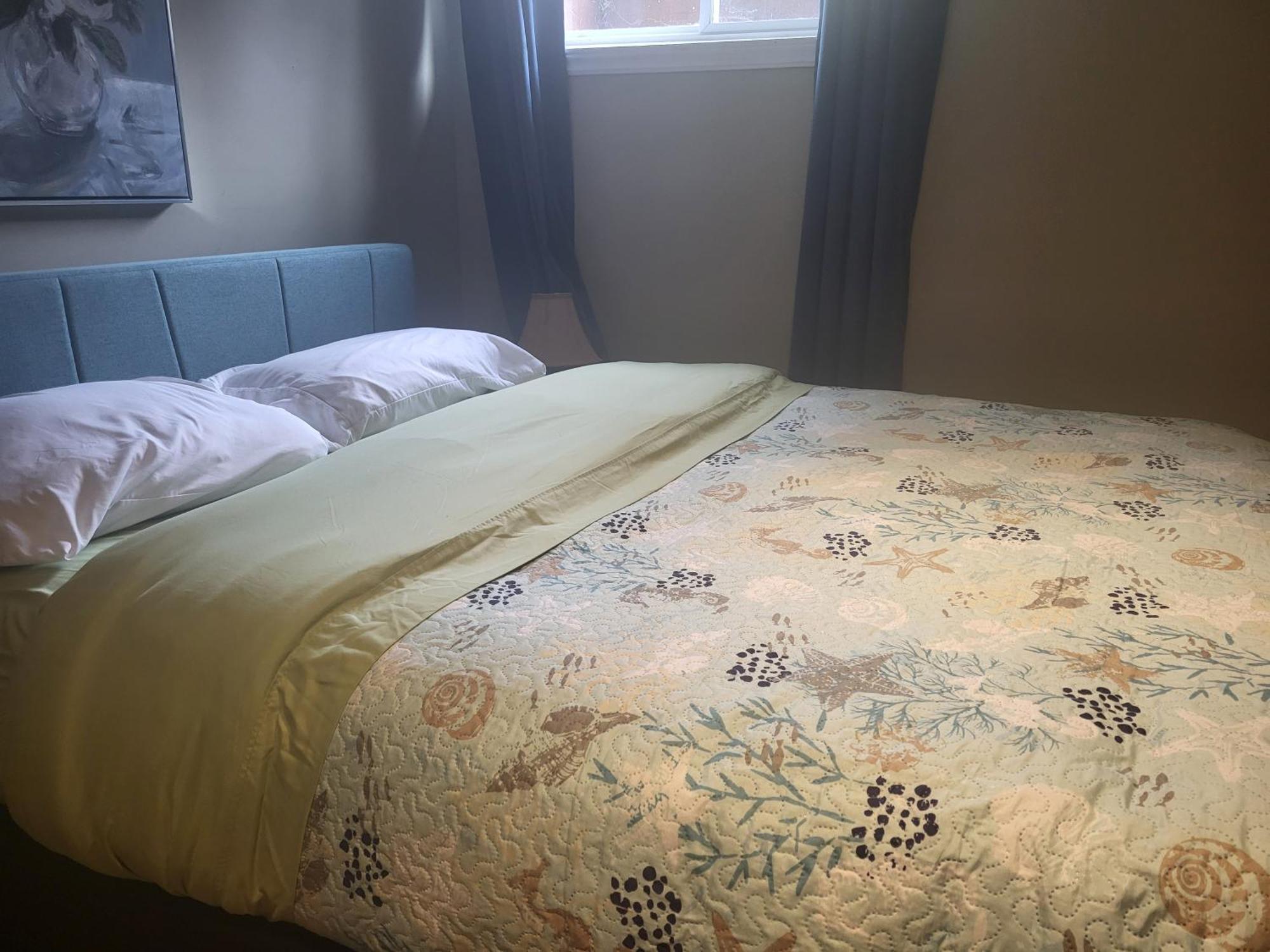 Main Homestay Kingston